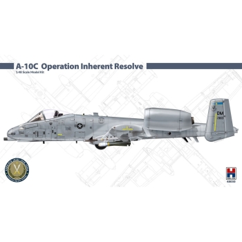 A-10C Operation Inherent Resolve (48030)