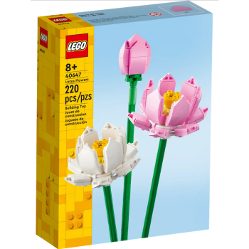 Kwiaty lotosu (40647 )