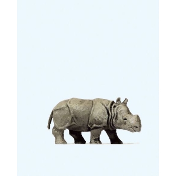 Młody nosorożec indyjski (29503)
