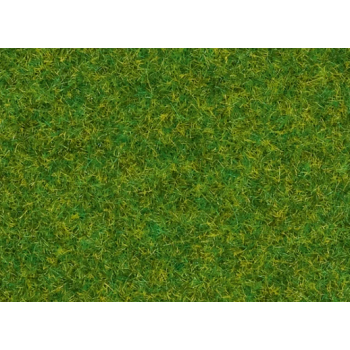 Zielony trawnik (08214)