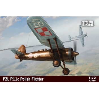 PZL P.11C (72519)