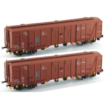H0 - Zestaw dwóch wagonów Hadgs CD Cargo