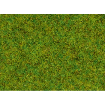 Wiosenna łąka (08200)